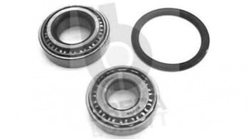 ARKA TEKER RULMANI IC R12 TOROS (KIT) - SNR KIT30205A