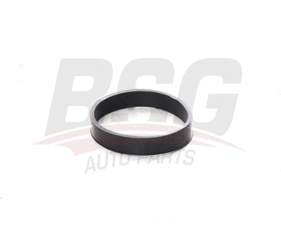 MANIFOLD CONTASI EMME - BSG 60-116-008