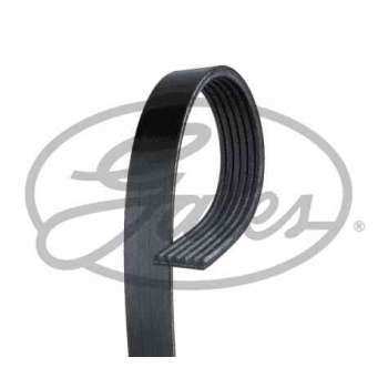 KANALLI KAYIS CADDYII 1,9D PEUGEOT CITR PARTNER BERL C3 C4 C5 207 308 3008 5008 1,6 16V AUDI SEAT - GATES 6PK905
