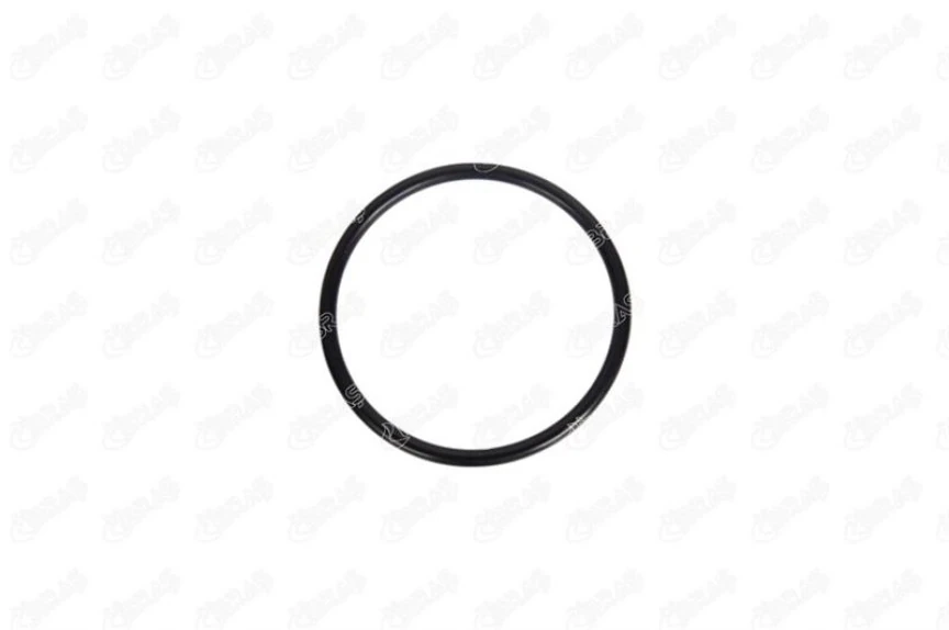 Renault Gaz Kelebek Contası - Gaz Kelebegi Contası 63mm X 4mm İnce - İbr 11069