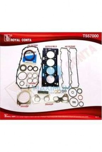 MOTOR TAKIM CONTASI (ALT / UST FULL) REINZ KECELI SUBAP LASTIKLI S,K,C DAHIL P206 P207 P307 P308 PAR - ROYAL T557000
