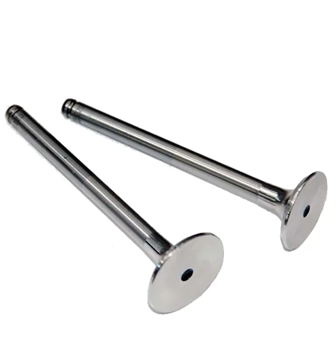 Renault Subap Takımı R19 Dizel Kangoo 1,9 (in 4 / Ex 4) - Gunes 4686-4687