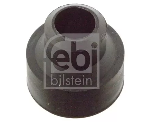 ENJEKTÖR KEÇESI - FEBI 06251