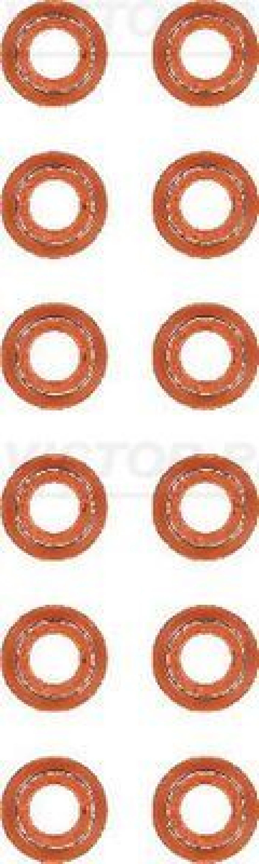 İveco Truck Subap Lastıgı (12 Adet) Ford Cargo / 1846 - İveco / Stralıs - Cursor 10 - Victor Reinz 12-40217-01