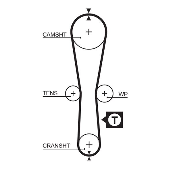 EKSANTRIK KAYISI (087x170) CLIO KANGO SYMBOL TWINGO 1,2 8V NISSAN KUBISTAR 1,2 8V CT915 - GATES 5454XS