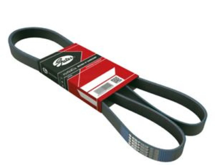 Vag Kanallı Kayıs Passat 1.9td 8v (93 96) 2.8 Vr6 12v (88 97) - Gates 2pj905