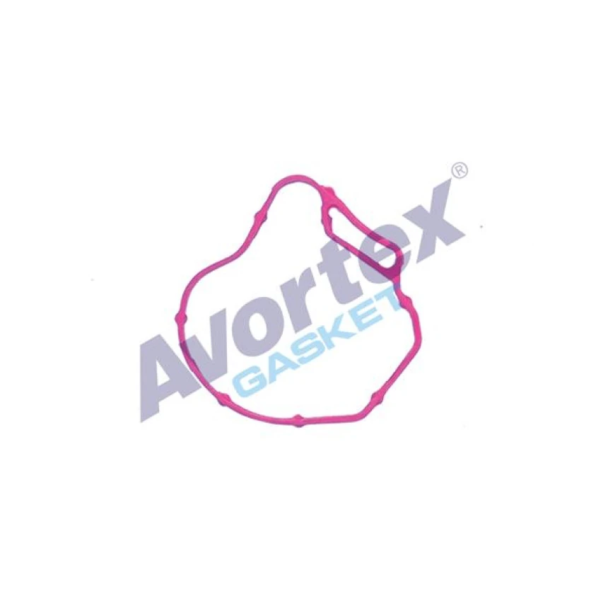 Renault Vakum Conta Lastık 1,9 Dizel F8q Kango Megane Trafıc - Avortex 496