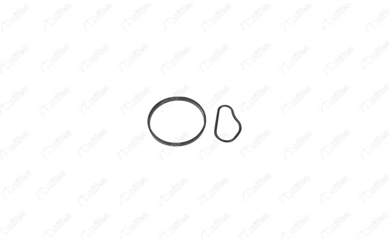 VAKUM POMPA ORING TAKIMI FIESTA FUSION 0412 FOCUS II 0311 FOCUS II C MAX 0411 1,6TDCI P307 P407 C - NIFEA 17080