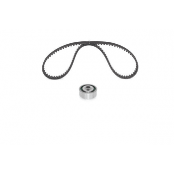 EKSANTRIK RULMAN KITI (TRIGER SETI) P106 P206 P205 P306 405 YM P206 XSARA SAXO TU5JP TU5J2 (101 DIS - GMB VT103111