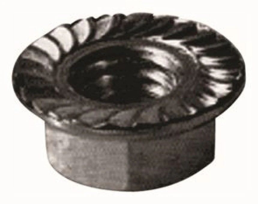 Renault Eski Pullu Somun Orjınal (6mm) R12 - Mtj 3277