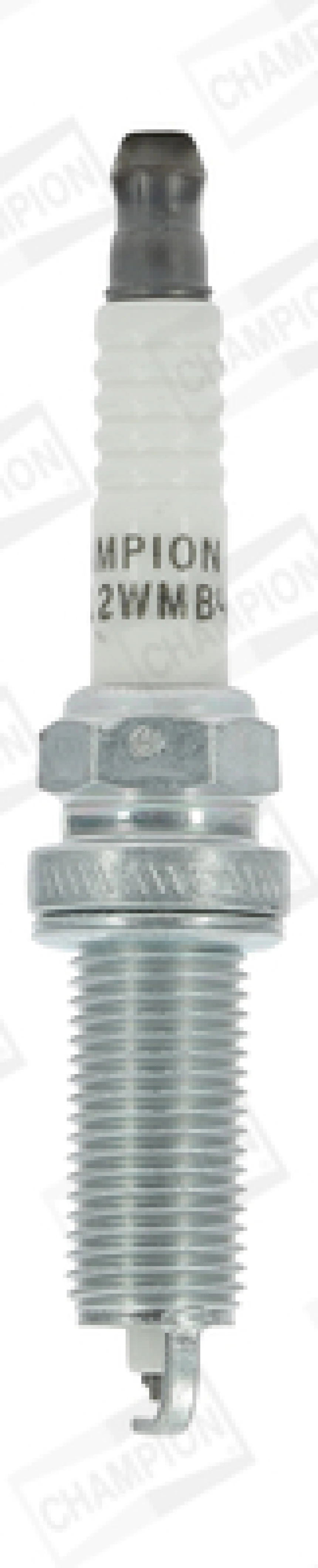 Japon Bujı - Rea12wmb4 - Cha Oe240