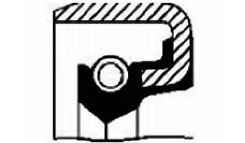 İveco Truck Mazot Pompa Kecesi İveco Eurocargo I-III 20x31x7 MM - Skt 040760