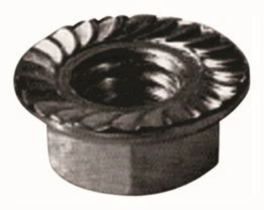 Renault Eski Pullu Somun Orjınal (5mm) R12 - Mtj 3276