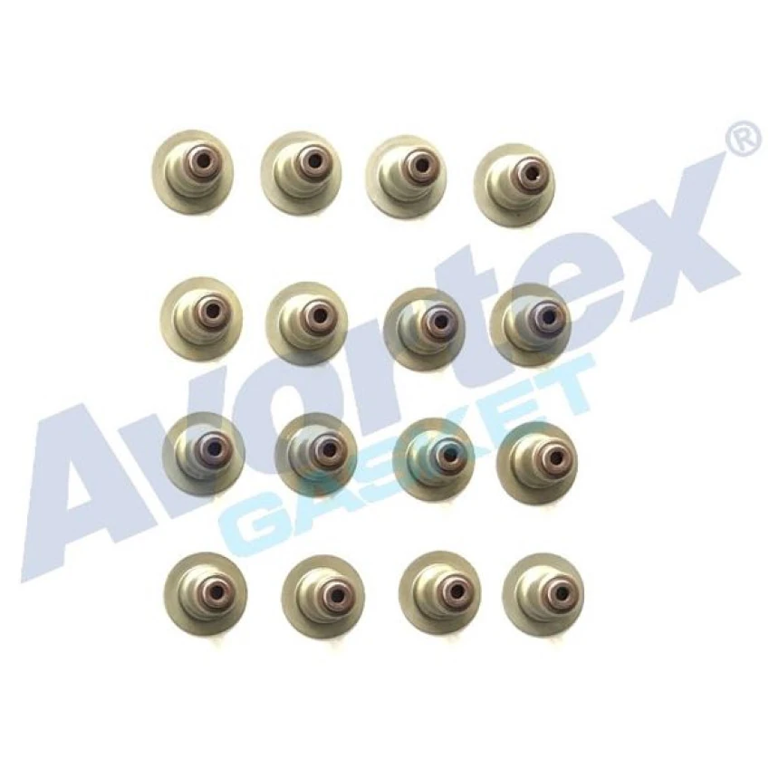 Renault Subap Lastıgı (5.5x11/28x17mm Viton Sapkalı) Megane I II III Clio II III Trafıc II Laguna I II Kango - Avortex 439