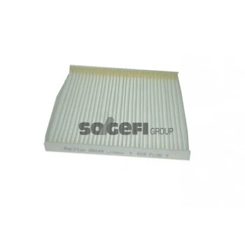 Fiat Polen Filtresi Bipper Nemo Fiorıno Doblo III Punto Fiorıno Linea 76> Egea 15> Opel Combo 1,3cdti / 1 - Purflux Ah244