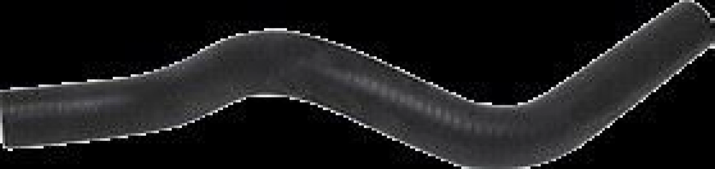 Honda Radyator Hortumu Alt CIVIC 01>06 - Gros T27125