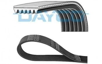 Psa V Kayısı - Klimalı - Day 6pk1625