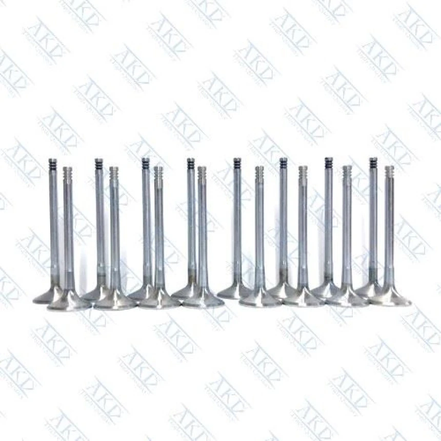 Opel Subap Takımı Rezzo 1,6 16v (in 8 / Ex 8) - Akd St96182805-96182806