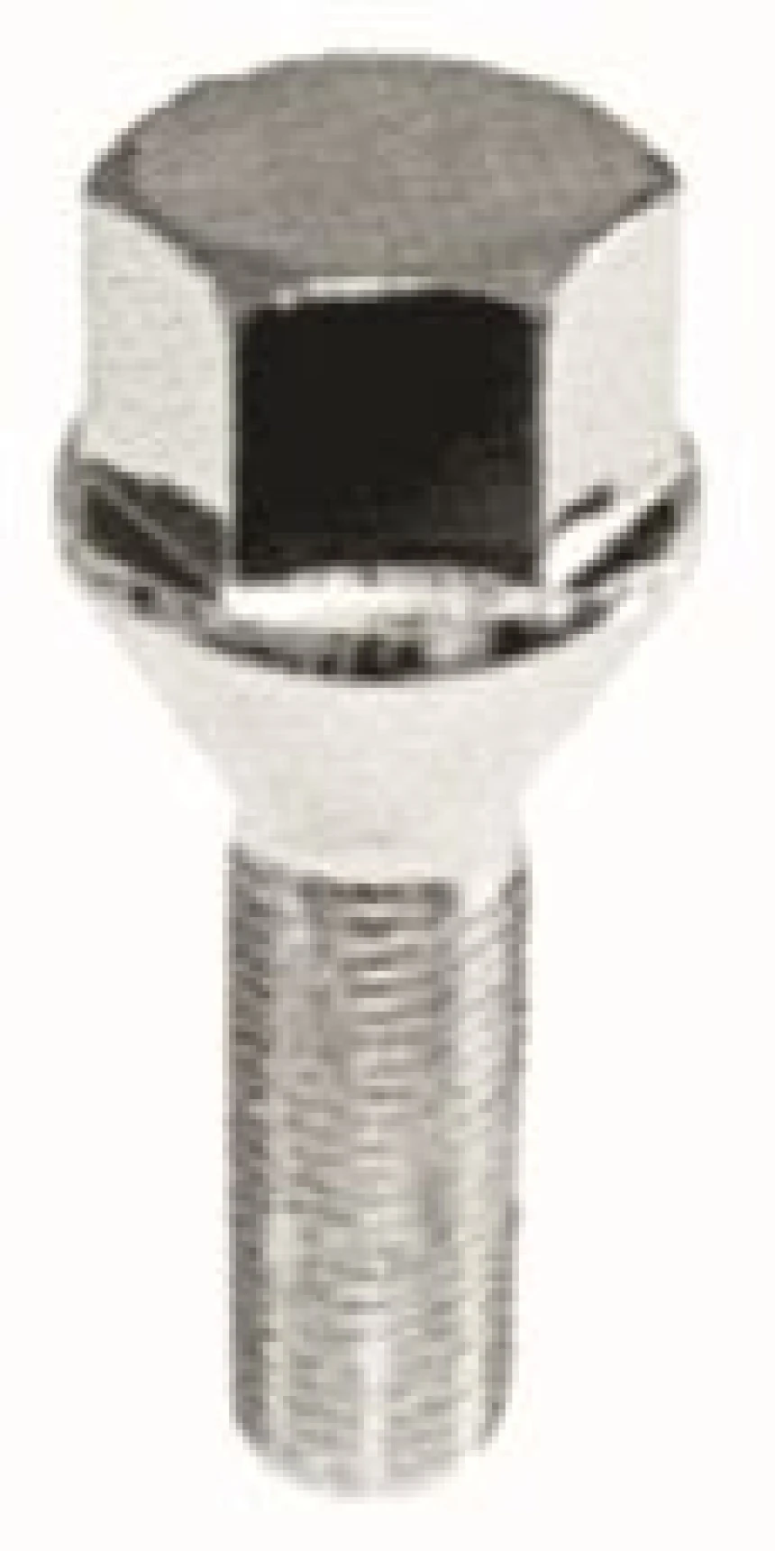 Tofas Bijon Civatası (cms) Dks - Mtj 1339