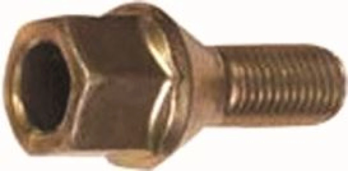 Renault Bijon Civatası Delikli Tip Clio Kango Megane - Mtj 5206