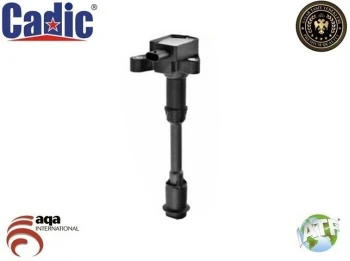 Ford Atesleme Bobını (kalem ) Mondeo IV 07>14 1.6 Ecoboost Volvo S60 II (134) T3 10> S80 II (124) T4 10> - Cadıc 45002066