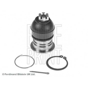 ROTIL UST HONDA ACCORD 1993-1998 - BLUEPRINT ADH286138