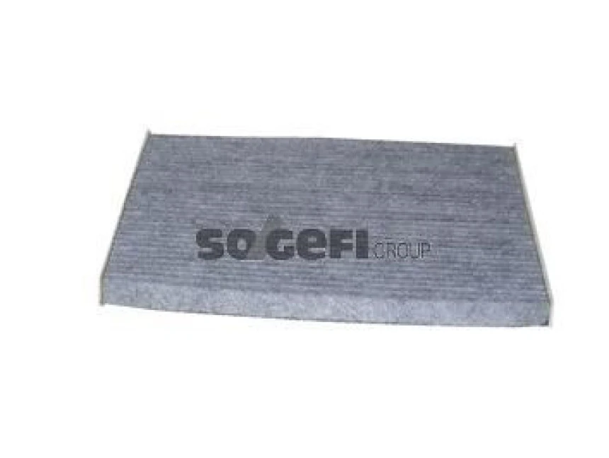 Fiat Polen Filtresi Doblo III 1,4 10> Punto Evo 09>12 Punto 12> Grand Punto 07> Alfa Mito 08> Corsa D 07> - Purflux Ahc244