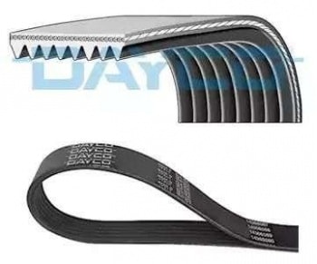 KANALLI KAYIS (V KAYIS) - MERCEDES-BENZ / FORD CARGO - DAYCO 8PK1660HD