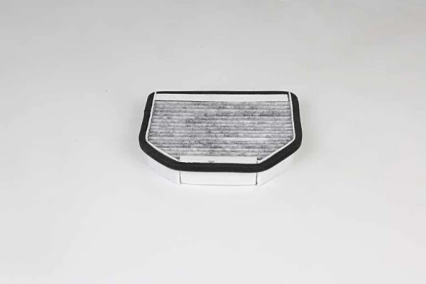 Mercedes Polen Filtresi - Takım 2 Adet Karbonlu - Bsg 60-145-034