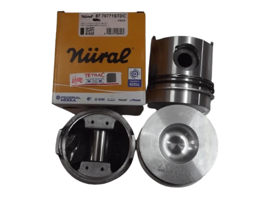 30190 55-46-65-46-70-56 Piston Segmanlı 100 Mm-Standart 38-Pim 8770771 4770645 Nüral Z-10 - PY-30190 - PY-30190