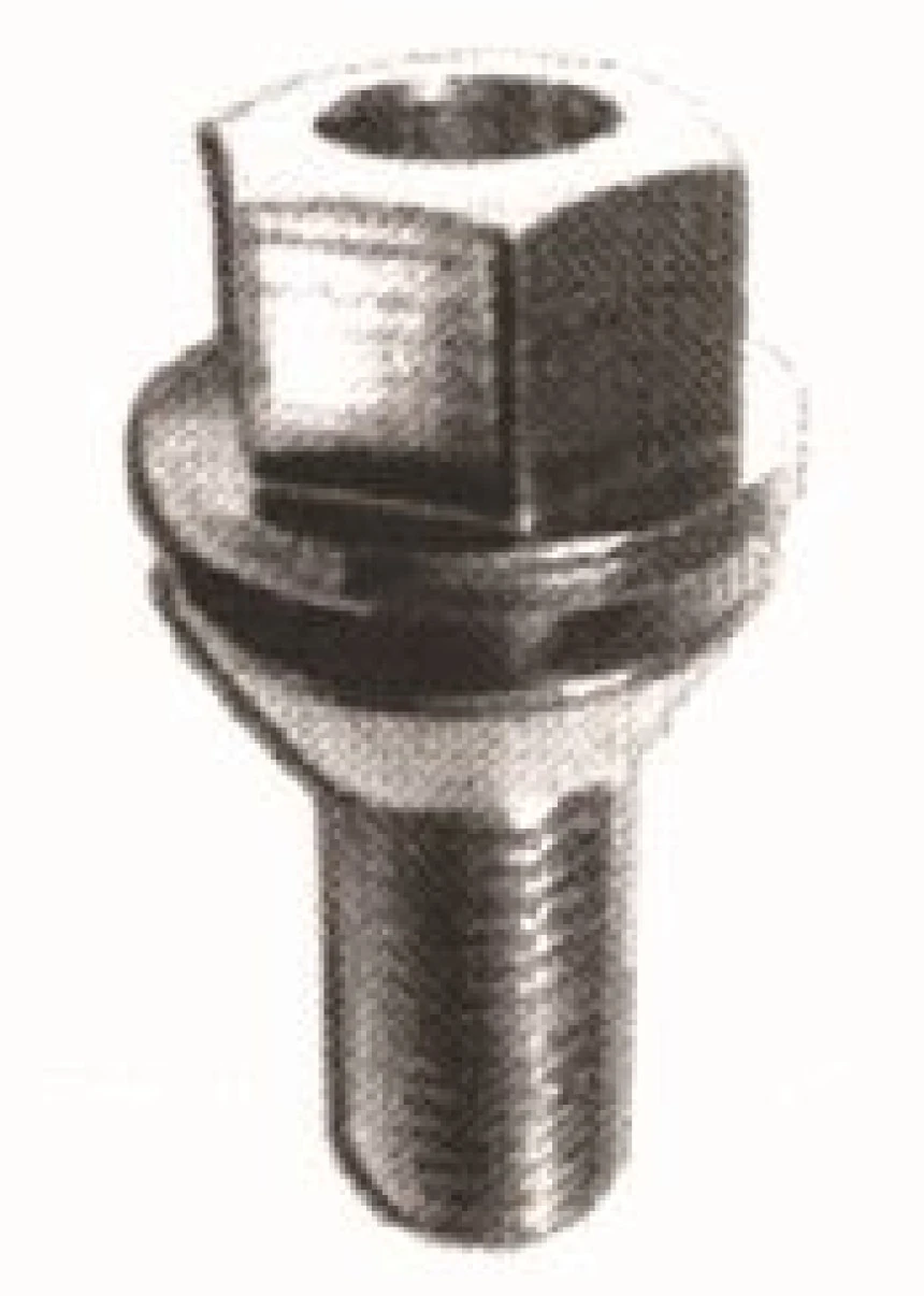 Renault Bijon Civatası Y,m Megane - Mtj 5279