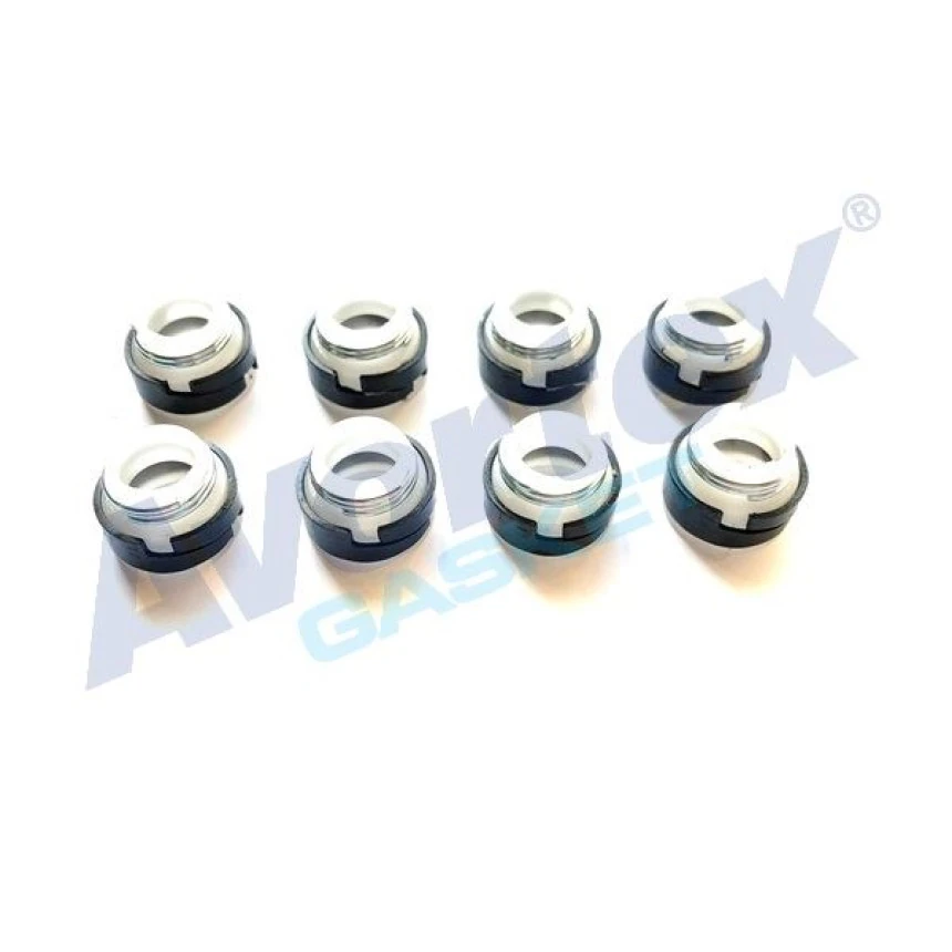 Renault Eski Subap Lastıgı Teflon R9 Broadway - Avortex 535