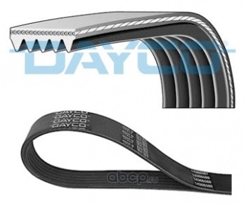 KANALLI KAYIS PALIO SIENA 1.2 01> - DAYCO 5PK1188