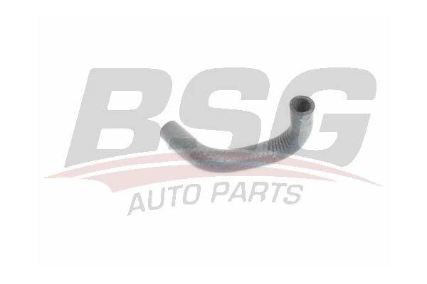 Renault Yag Sogutucu Hortumu - Yag Sogutucu Hortumu - Bsg 75-720-021