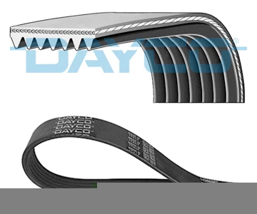 Japon V Kayısı - . - Day 7pk1750