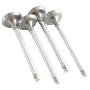 Renault Motor Egsoz Subap Clio Kangoo Megane 1,5dci K9k (4 Adet) - Maıs 132024905r