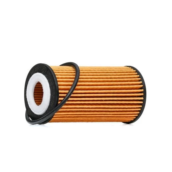 Ford Yag Filtresi - Otomatık Vites - Bch F026407298