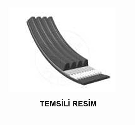 KANALLI KAYIS - BANDO 6PK1165