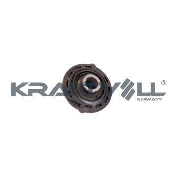SALINCAK BURCU (ORTA) C2 C3 C3 II C3 PLURIEL P1007 (02 09) - KRAFTVOLL 10050184