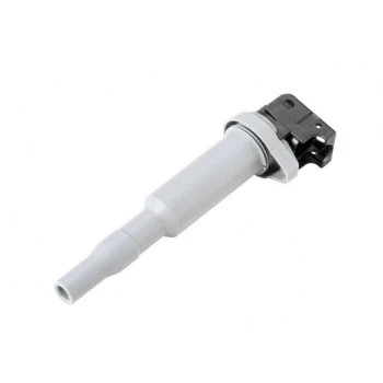 Bmw Atesleme Bobını Bmw E81 E87 E82 E88 F20 F21 F22 F23 E46 E90 F30 F32 E60 F10 N13 N20 N55 P3008-P308-R - Bosch 0221504800
