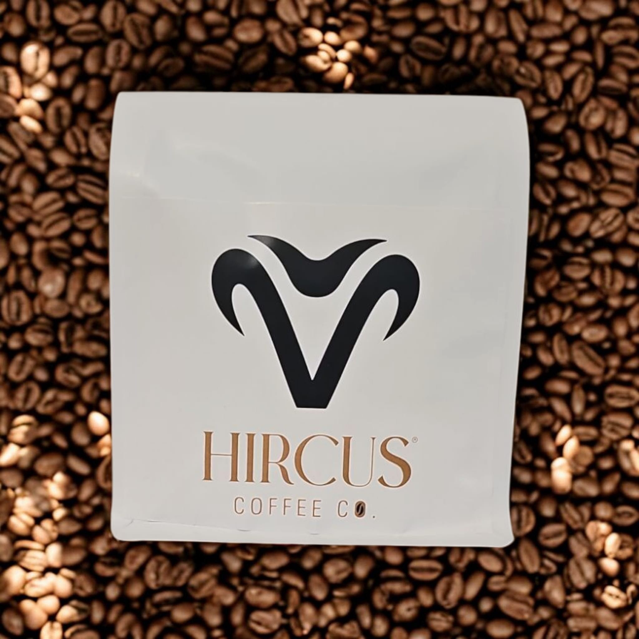 Hircus Filtre Kahve