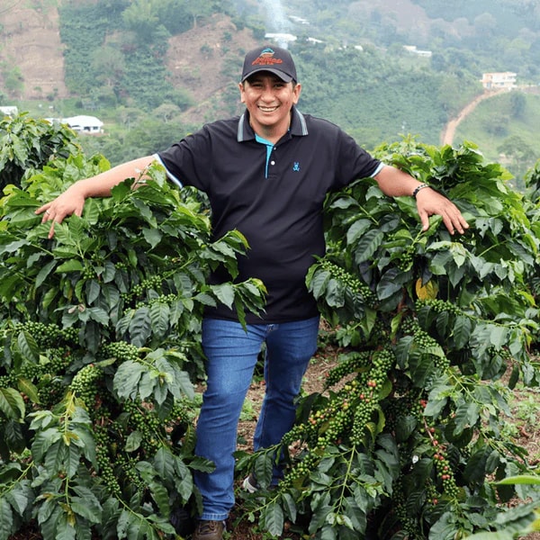 Colombia El Progreso Carbonic Maceration