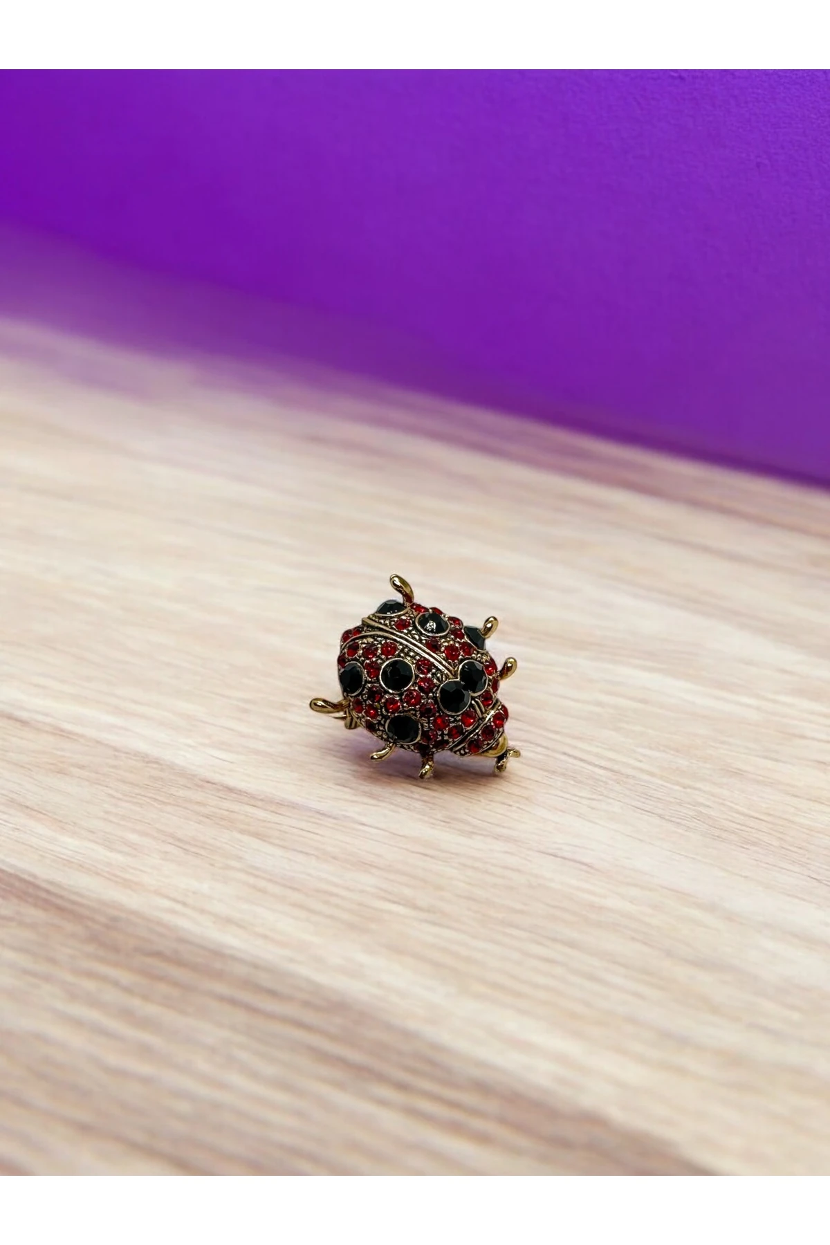 Uğur Böceği Broş image