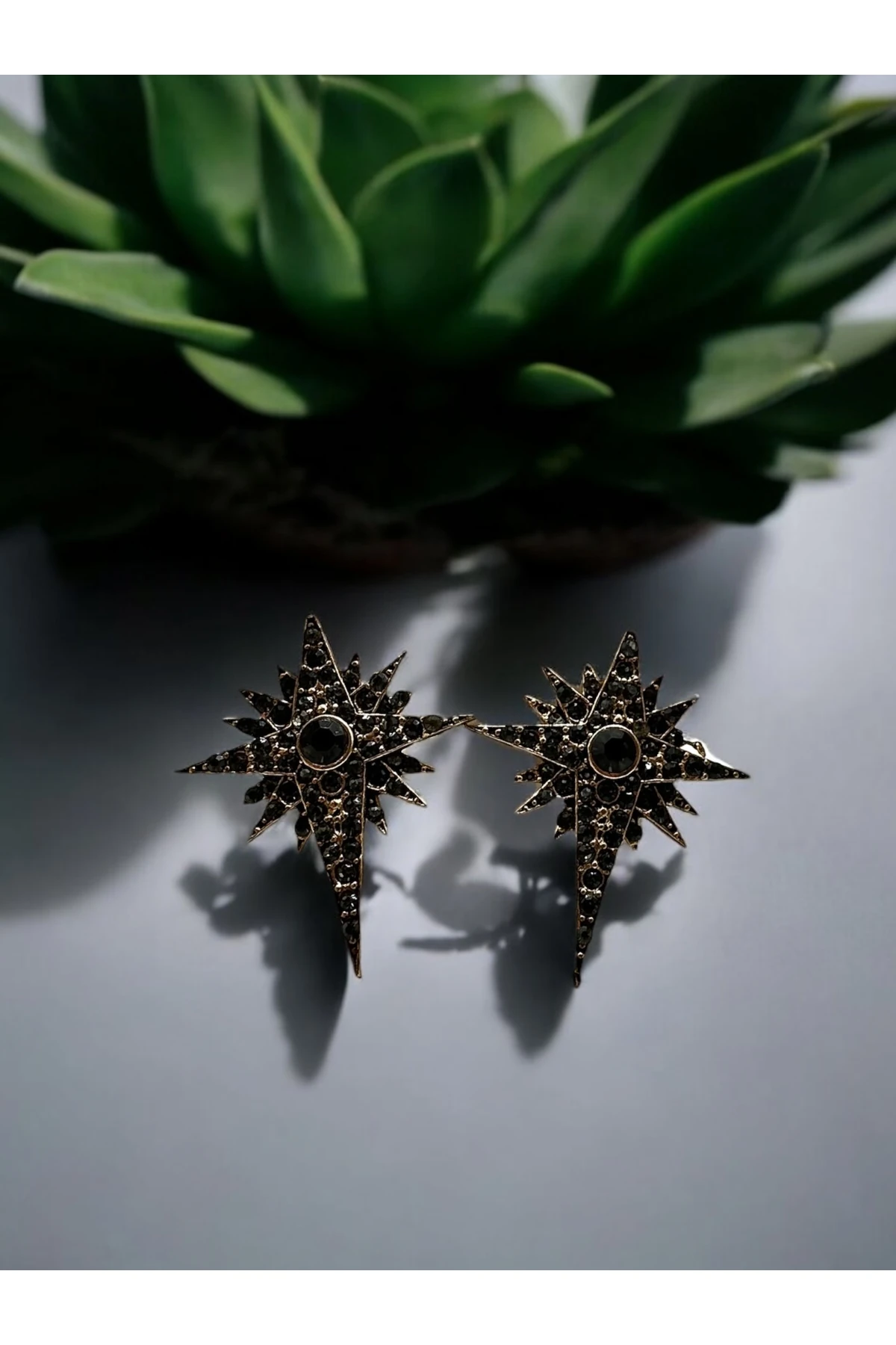 Black Diamond Taşlı Kutup Yıldızı Küpe main variant image