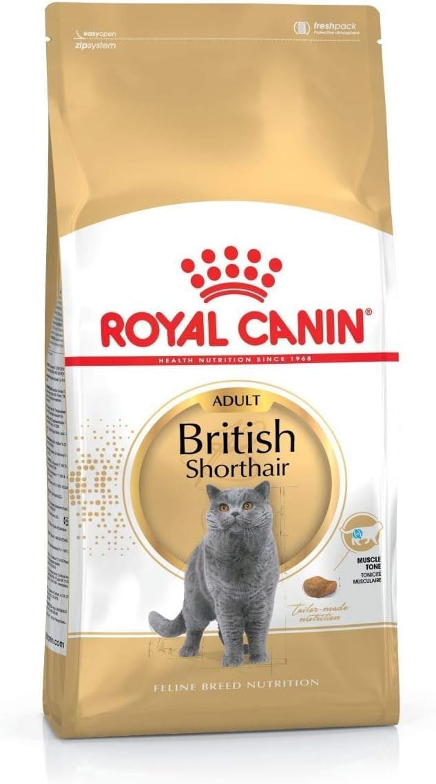 Royal Canin British ShortHair Kuru Kedi Maması, Yetişkin