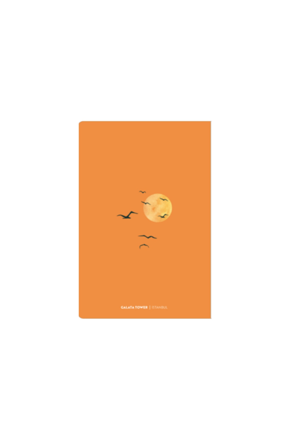 İstanbul Collection Manzaralı- Sert Kapak Noktalı Defter 14x21 cm