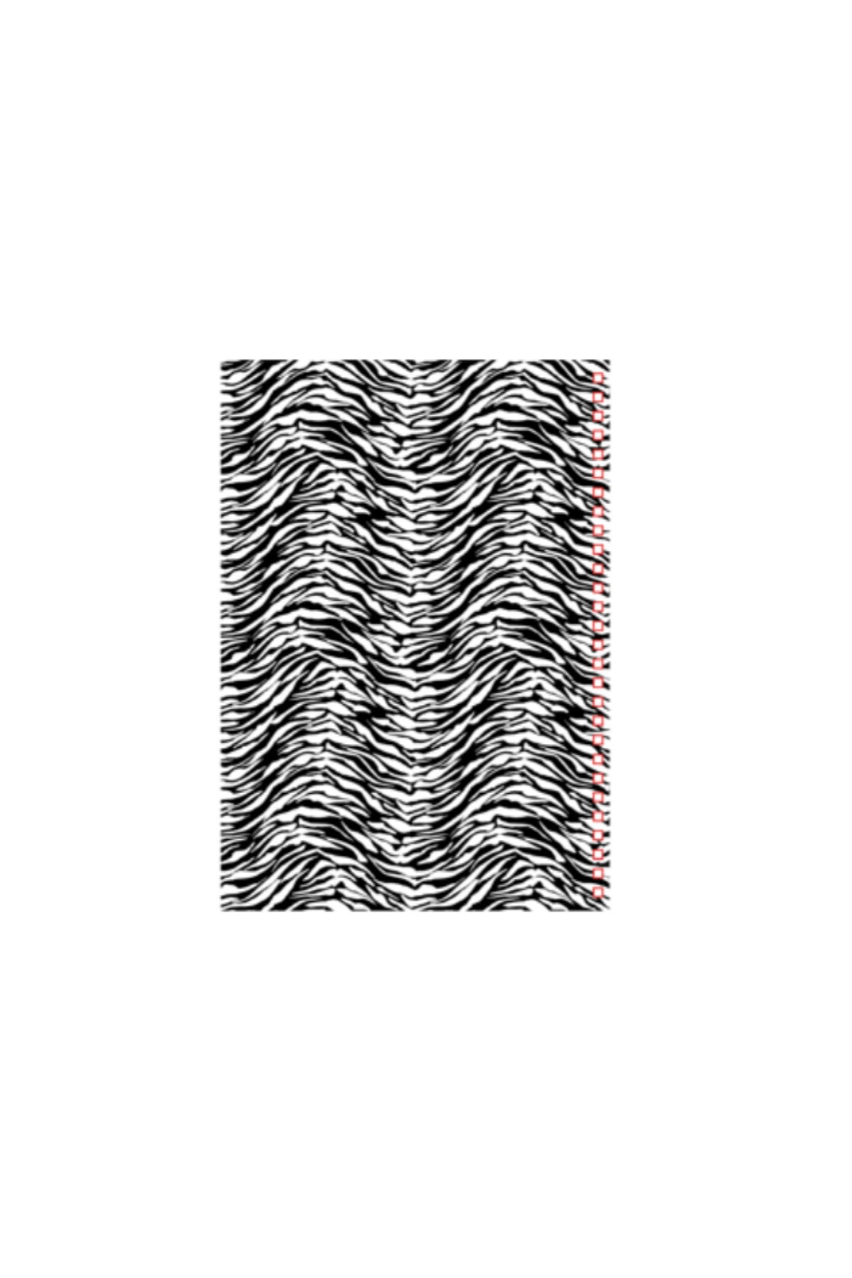 Zebra Desen Sert Kapak Çizgili Defter 17x24 cm 200 Sayfa Not Defteri - Ink Wild Leopard