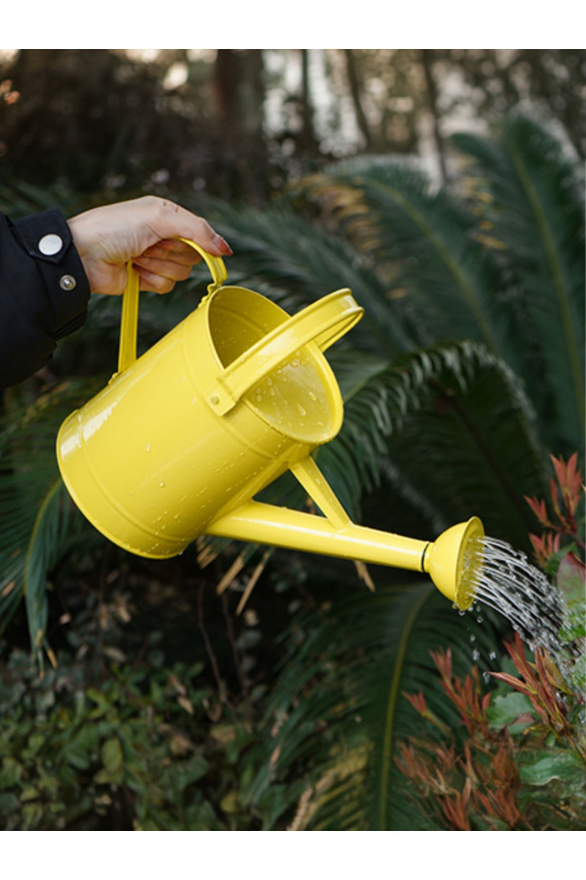 Fritilya 5 Litre Metal Sulama Kabı, Galvaniz Bitki Sulama Kabı Metal Orta Boy Sulak Sarı