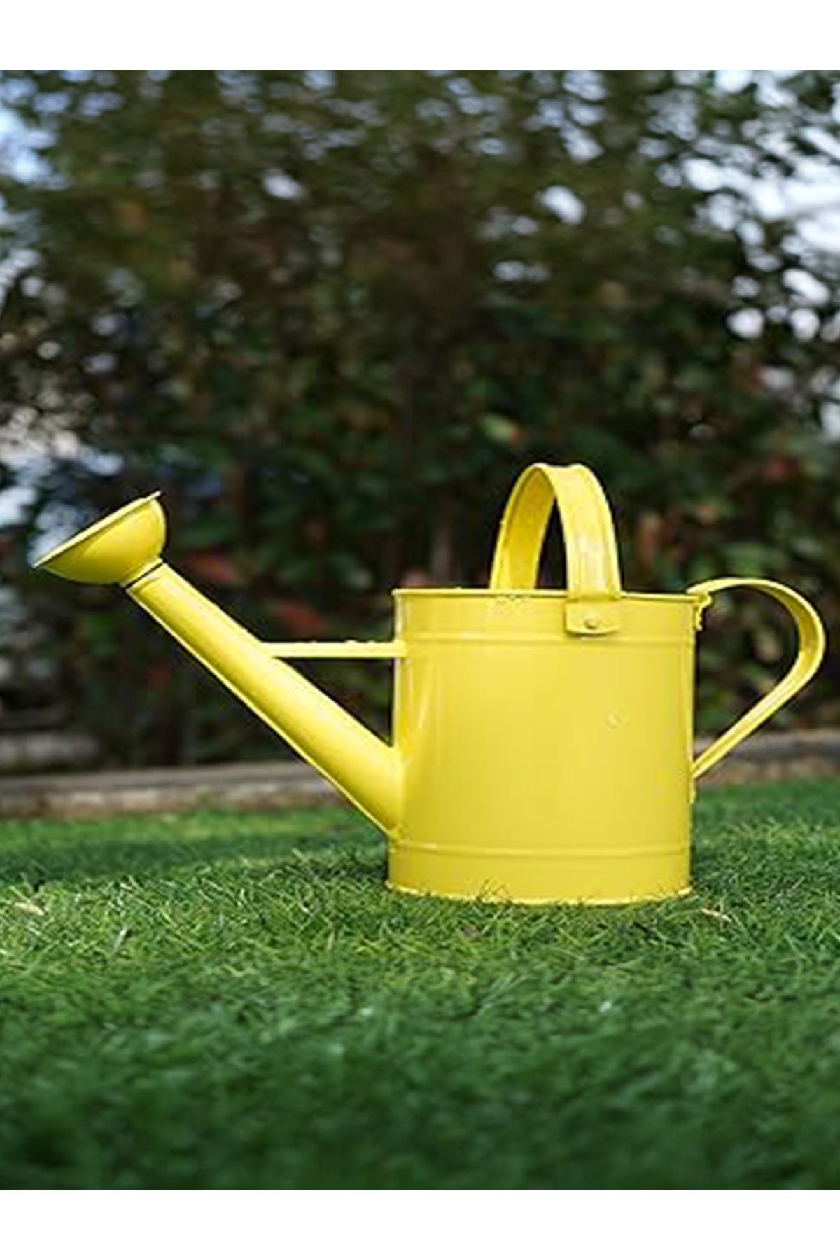 Fritilya 5 Litre Metal Sulama Kabı, Galvaniz Bitki Sulama Kabı Metal Orta Boy Sulak Sarı