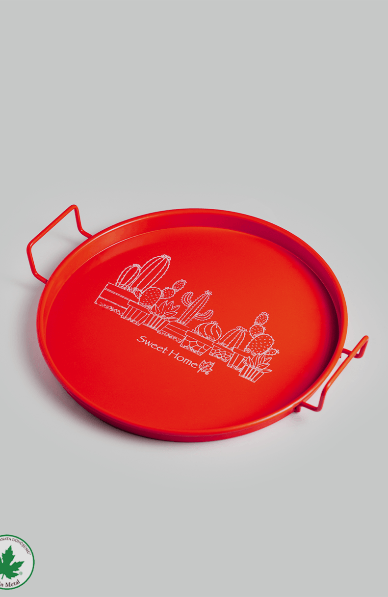 24 cm Tel Kulplu Metal Sunum Tepsisi (Kaktüs Baskılı)